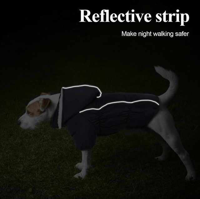 XL Dog Coat with Front Legs and Detachable Hood - Purple 