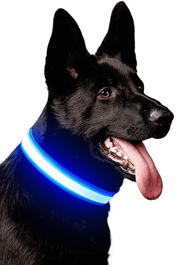 Rechargeable LED collar