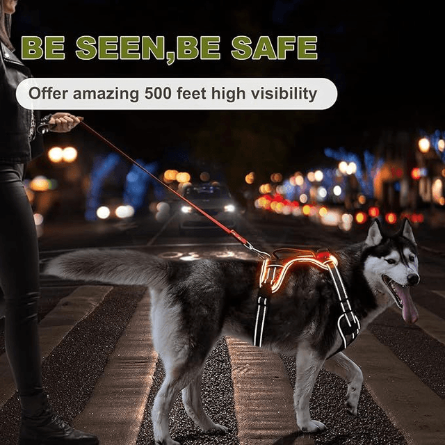 Light Up Dog Harness Rechargeable LED