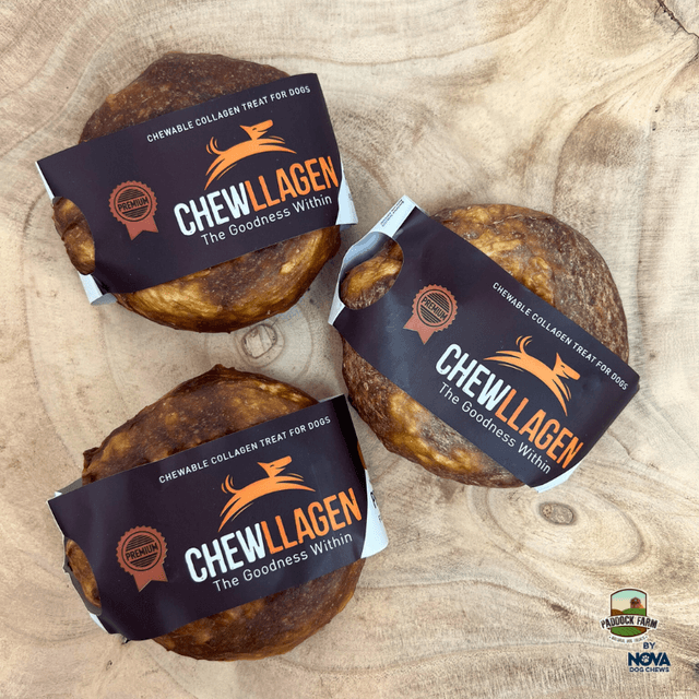 Chewllagen Small Donut 3.5″ 