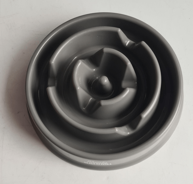 Slow Feeder Bowl