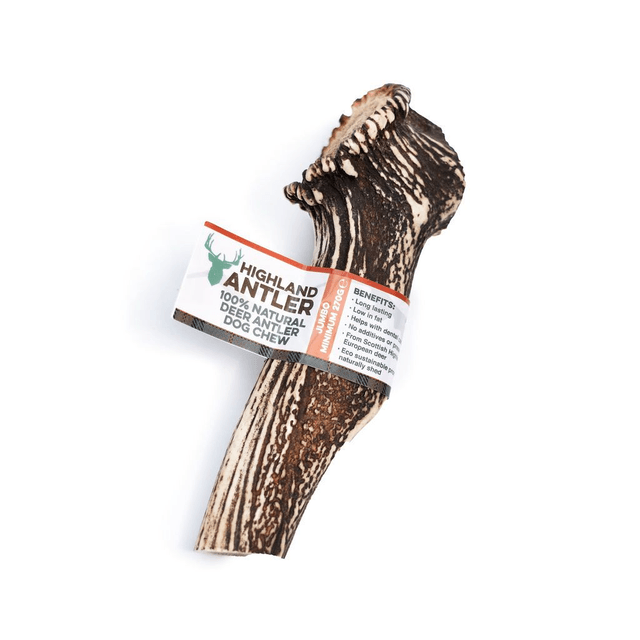 Antler