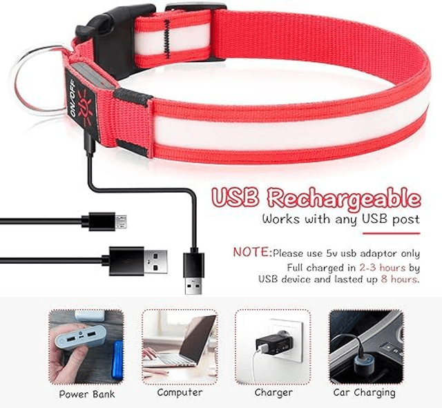 Rechargeable LED collar