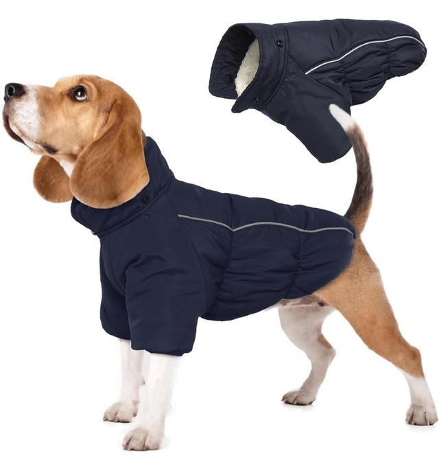 XL Dog Coat with Front Legs and Detachable Hood - Purple 