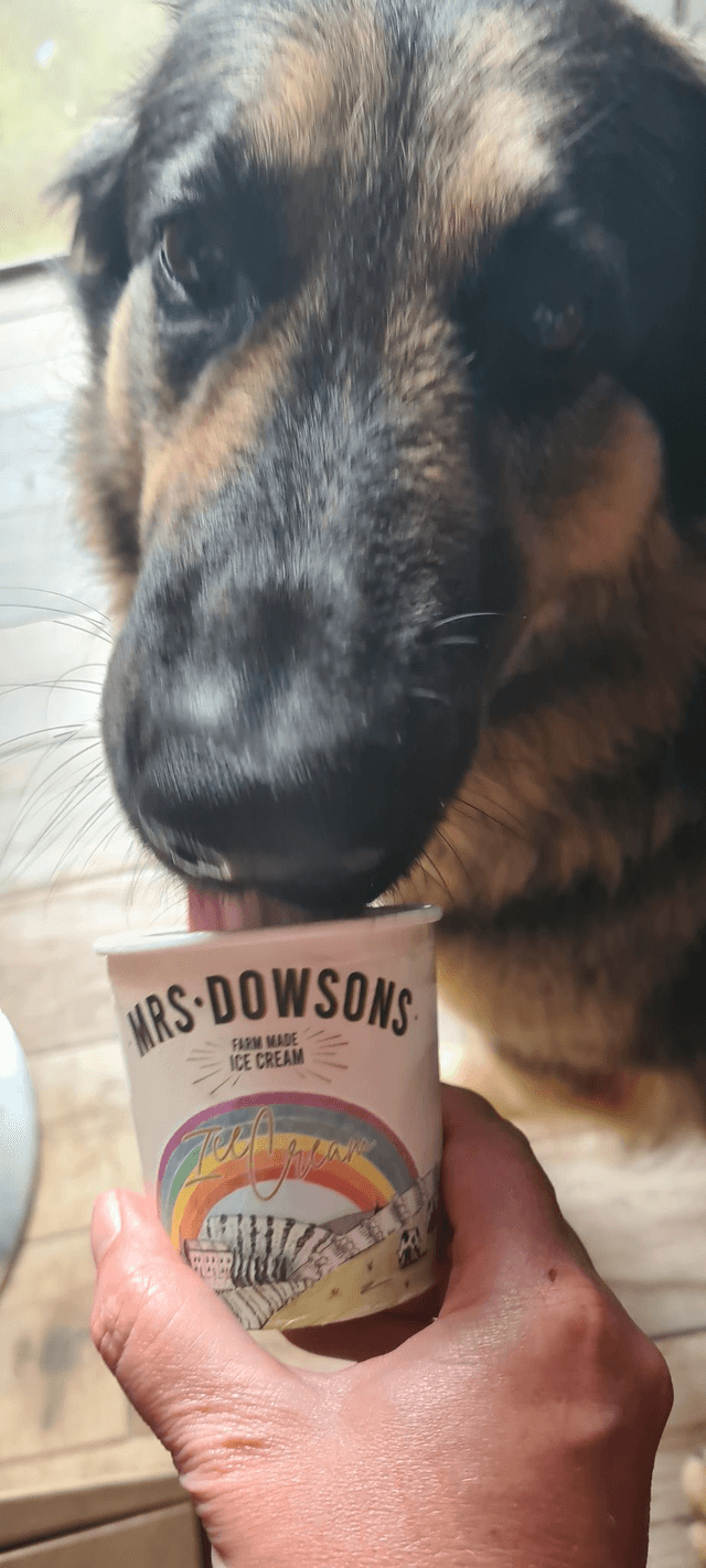 Mrs Dowsons Doggy Ice Cream