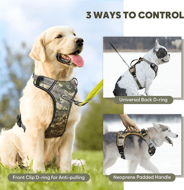 Light Up Dog Harness Rechargeable LED