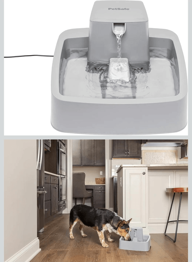 PetSafe Drinkwell Pet Fountain, Best for Medium Size Dogs Households, Easy-to-Clean Design, Filter Included, Grey, 3.7 L