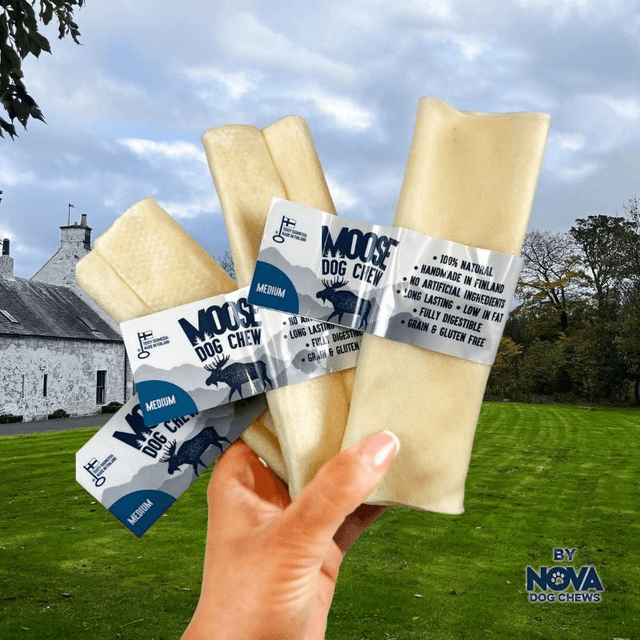 Rauh! ® Roll Moose Chew