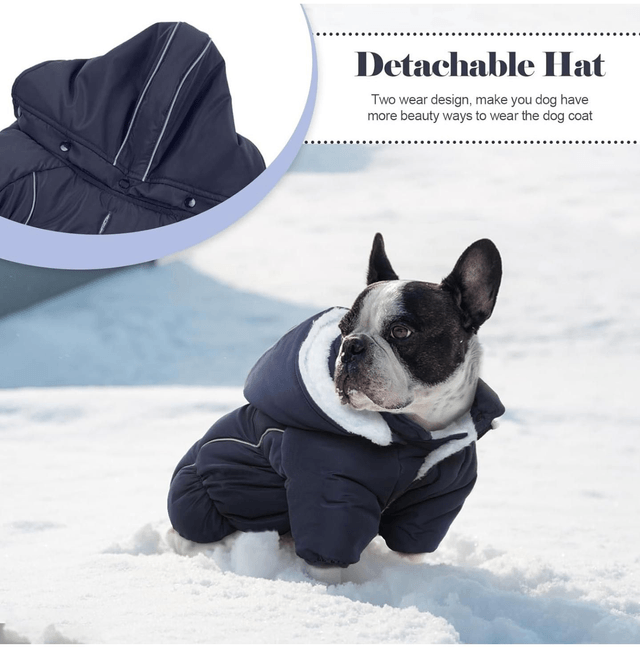 XL Dog Coat with Front Legs and Detachable Hood - Purple 