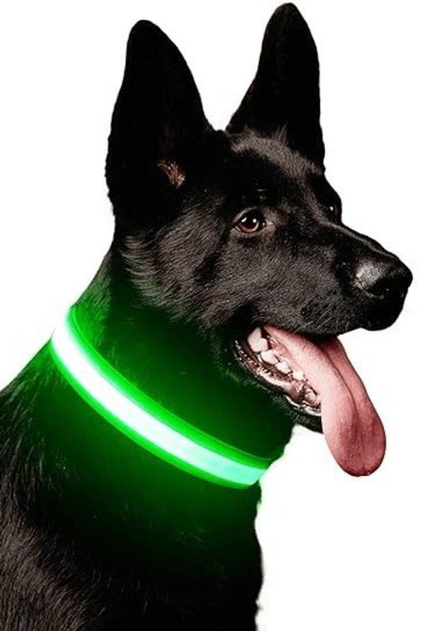 Rechargeable LED collar