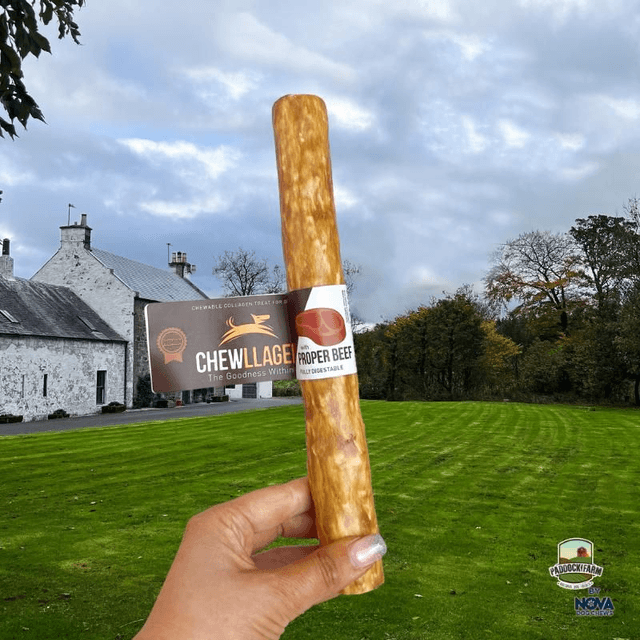Chewllagen Beef Roll Large 10”