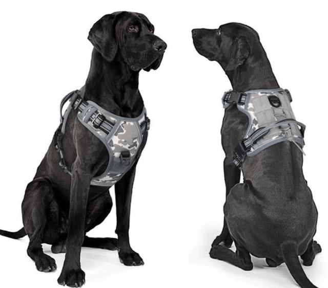 Tactical MOLLE Style Dog Harness - Large