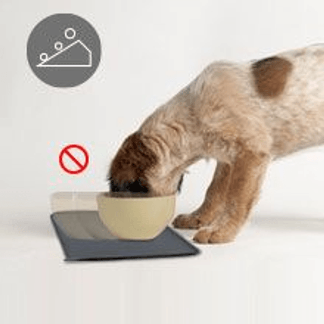 Silicone Raw Feeding Mat 
