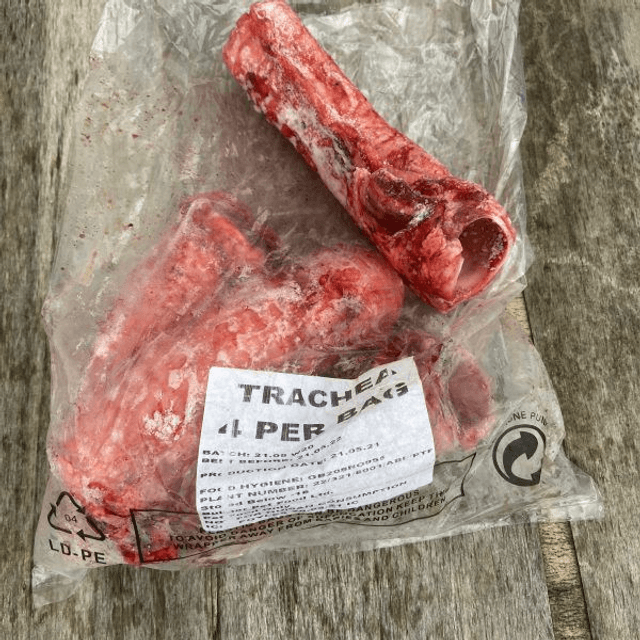 Trachea
