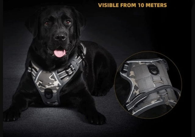Tactical MOLLE Style Dog Harness - Large