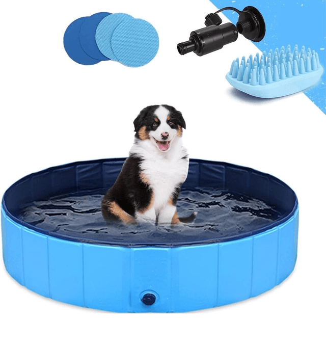 GoStock Dog Pool