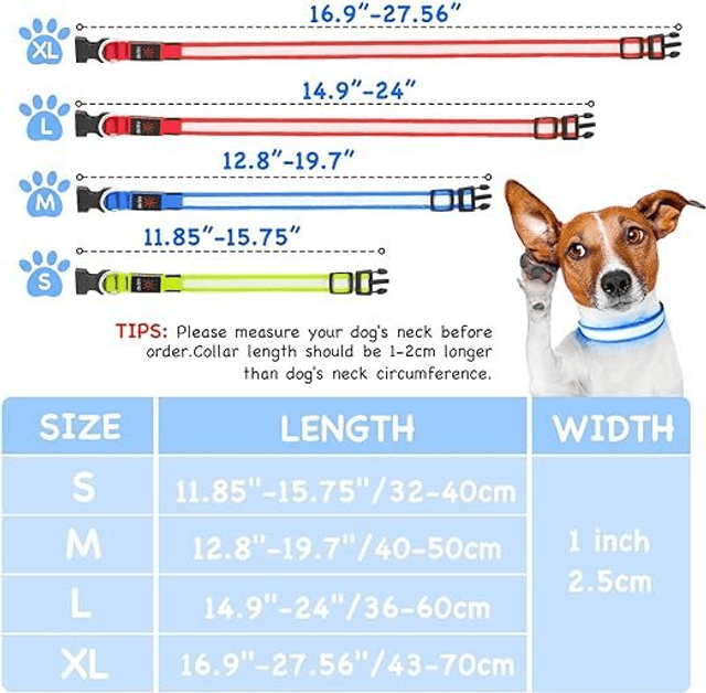 Rechargeable LED collar