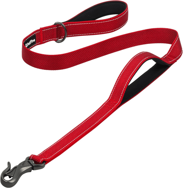Dog Lead with 2 Padded Handles & Advanced Easy Snap Hook