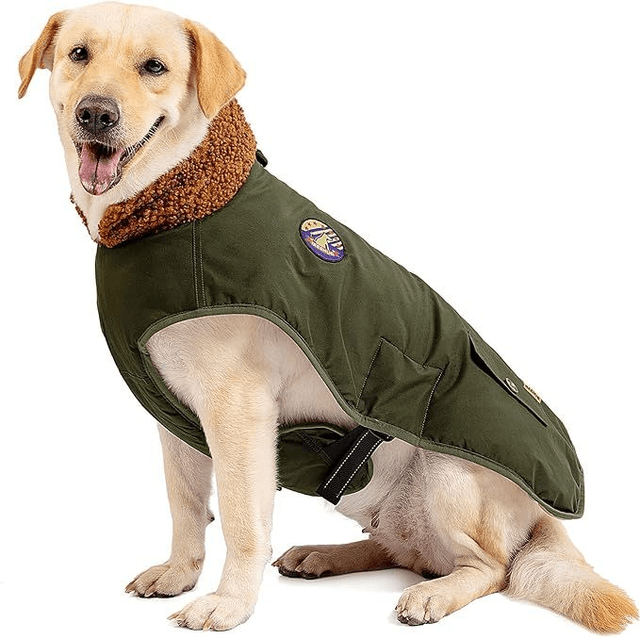 XL Country Style Green and Brown Dog Coat