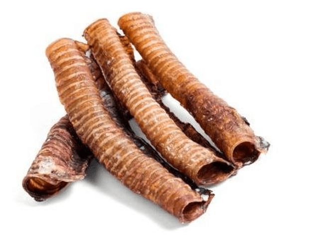 Trachea