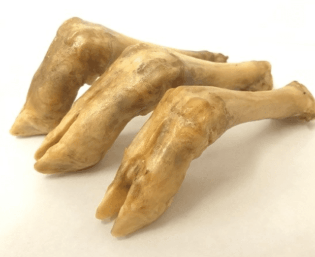 Lamb Trotters