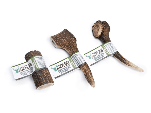 Antler