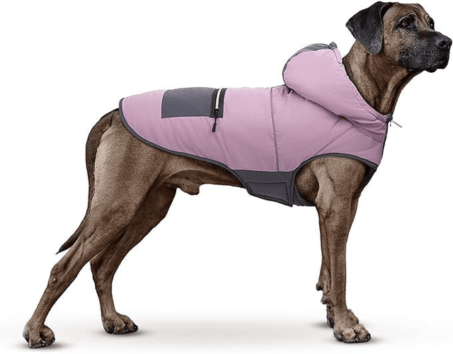 Large Purple and Grey Hooded Fleece Lined Dog Coat