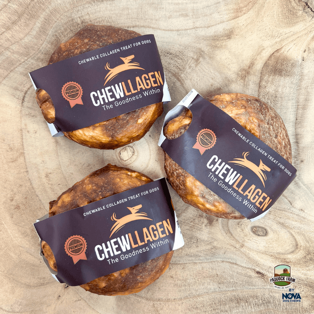 Chewllagen Small Donut 3.5″ 