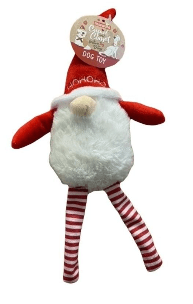 Santa