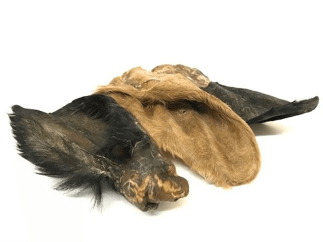 Hairy Cow Ear